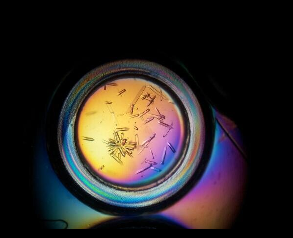 myimage1